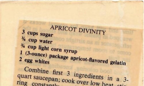 Apricot Divinity