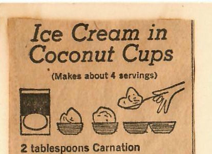 Ice Cream in Coconut Cups